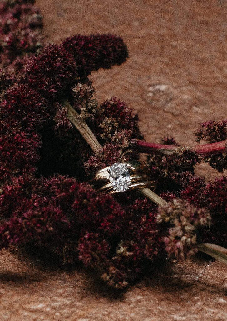 A ring closeup at avant gardens houston